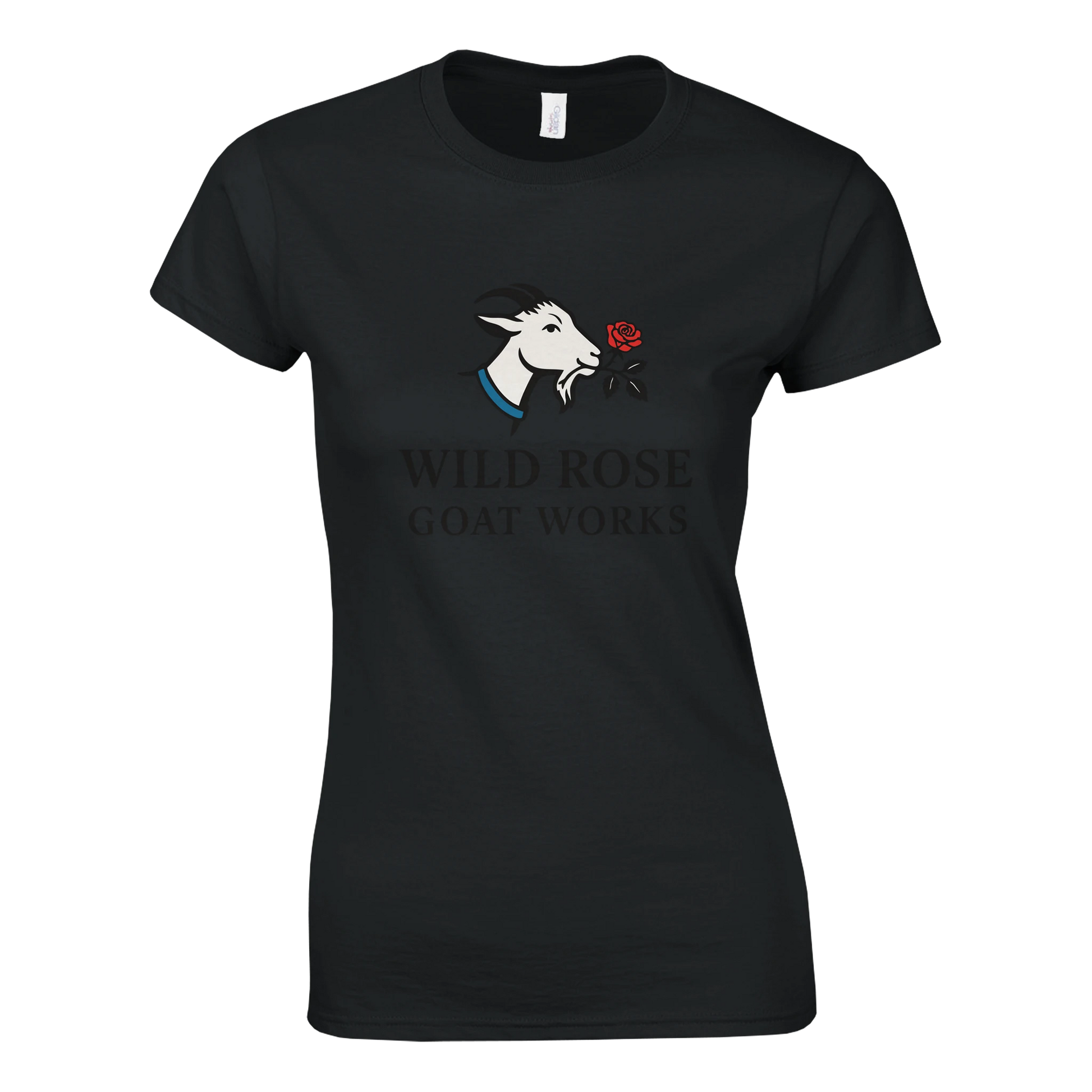 e564fabd-583c-4c46-a0a0-1b90bb26155e